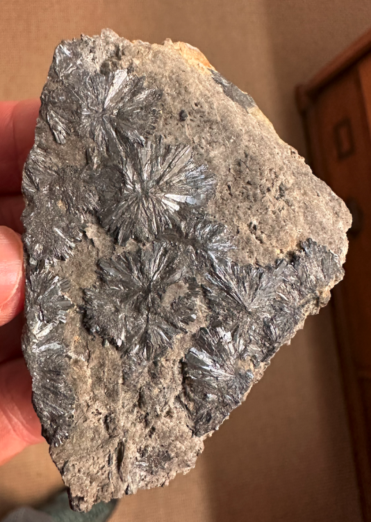 Capture d’écran 2025-01-11 à 11.21.48.png