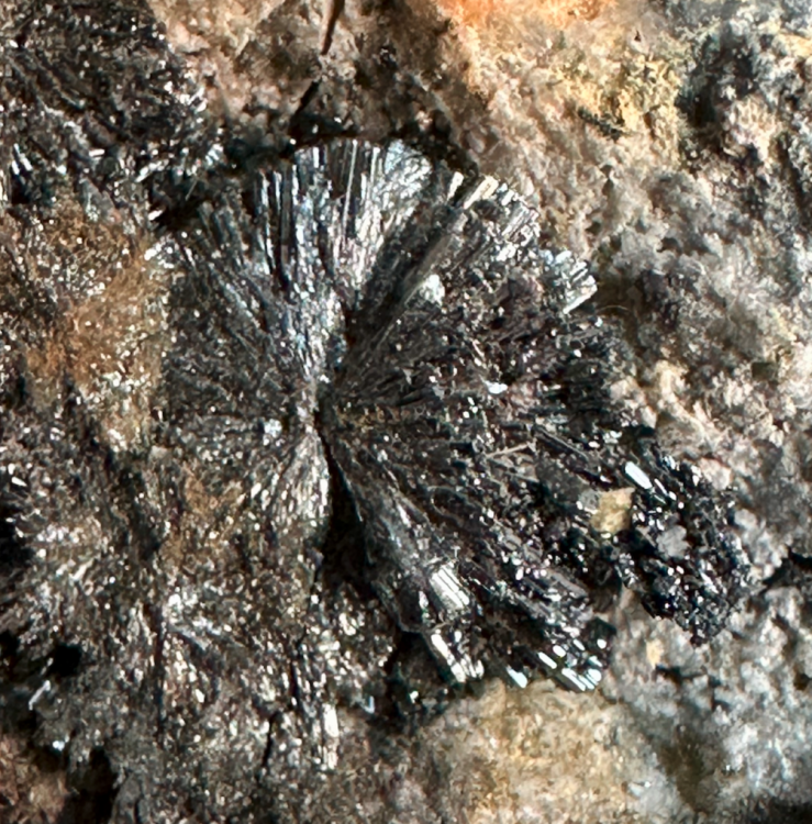 Capture d’écran 2025-01-11 à 11.23.57.png