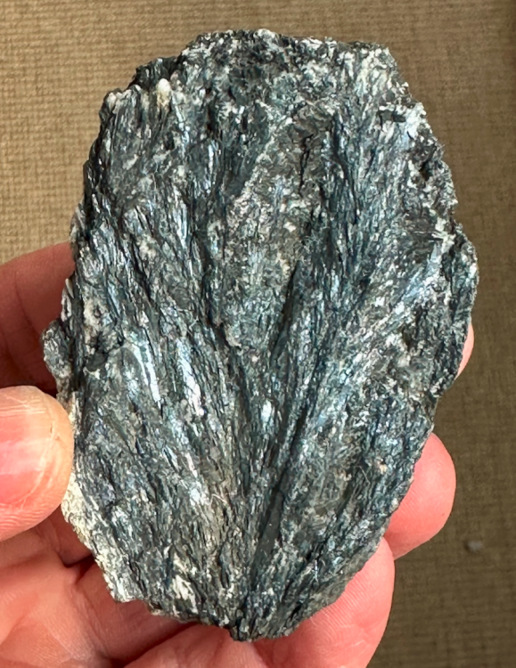 Capture d’écran 2025-01-11 à 11.24.33.png