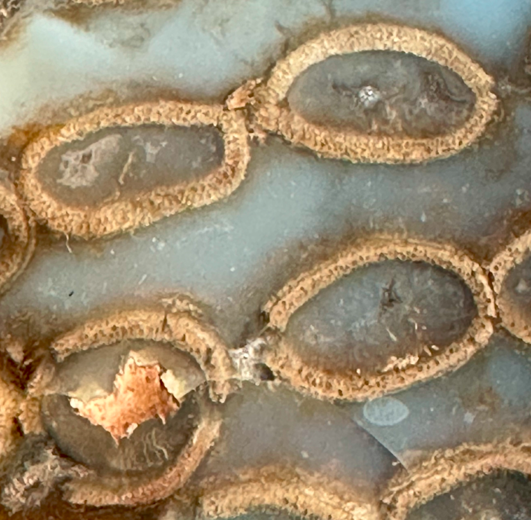 Capture d’écran 2025-01-17 à 00.03.37.png