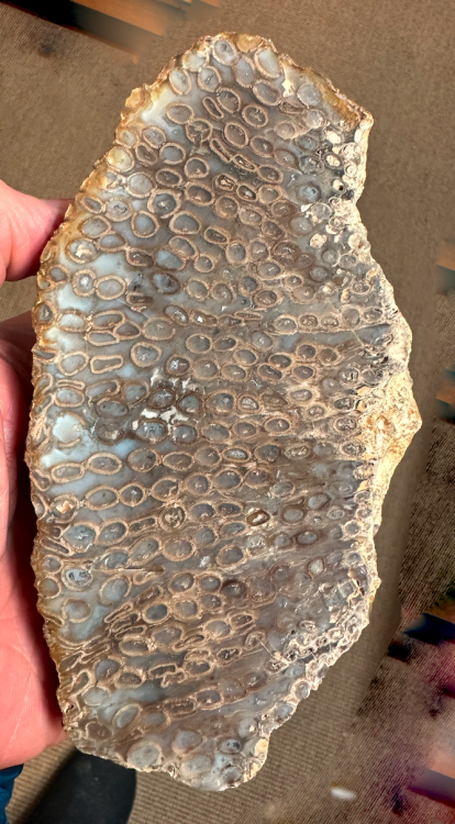 Capture d’écran 2025-01-17 à 00.04.39.png