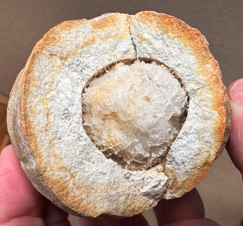 Capture d’écran 2025-01-19 à 19.01.57.png