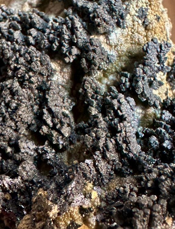 Capture d’écran 2025-01-19 à 19.06.45.png