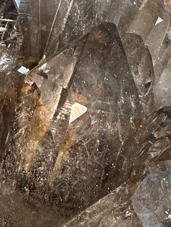 Capture d’écran 2025-01-19 à 19.41.56.png