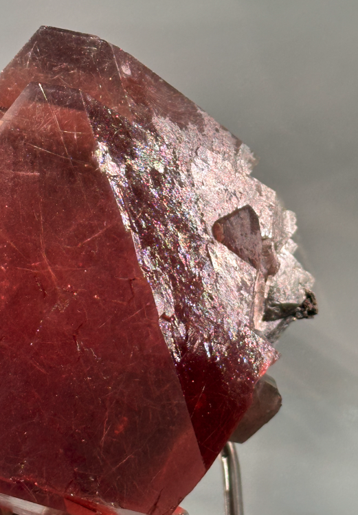 Capture d’écran 2025-01-26 à 04.29.53.png