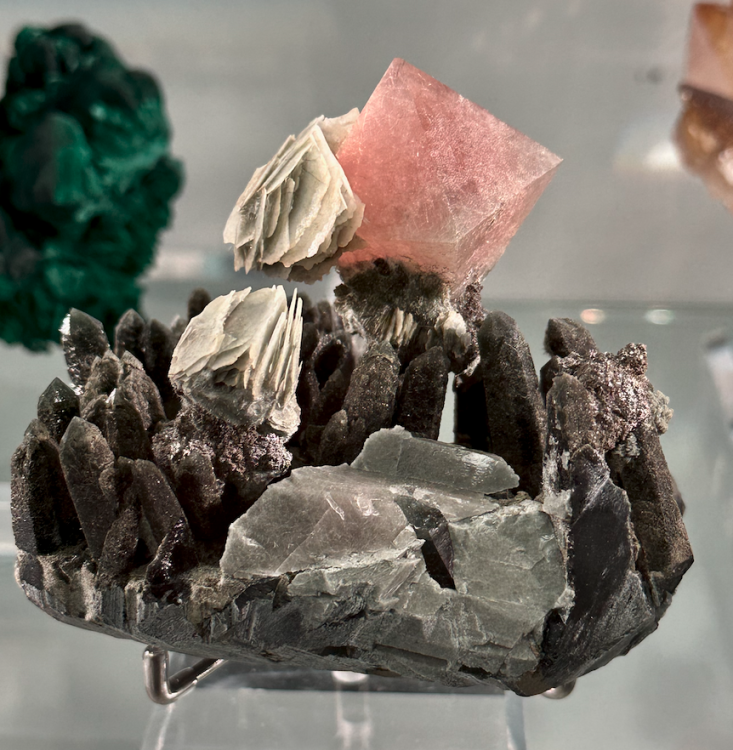 Capture d’écran 2025-01-26 à 04.30.53.png