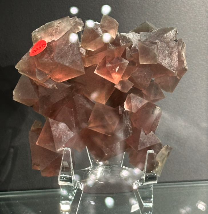 Capture d’écran 2025-01-26 à 04.31.10.png