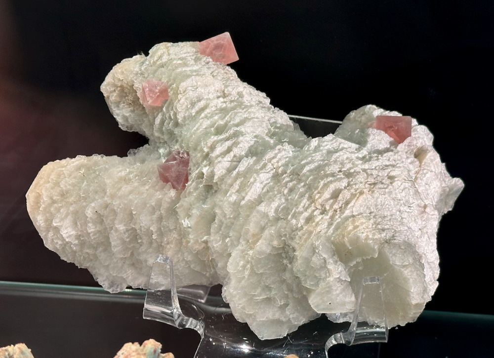 Capture d’écran 2025-01-26 à 04.31.19.png