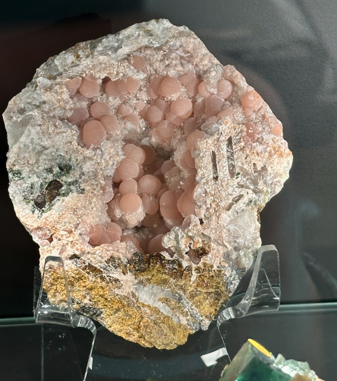 Capture d’écran 2025-01-26 à 04.31.39.png