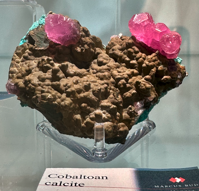 Capture d’écran 2025-01-26 à 05.13.18.png