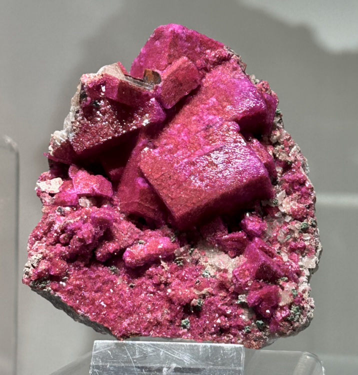 Capture d’écran 2025-01-26 à 05.13.59.png