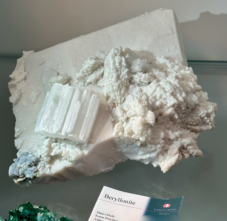 Capture d’écran 2025-01-26 à 05.14.49.png