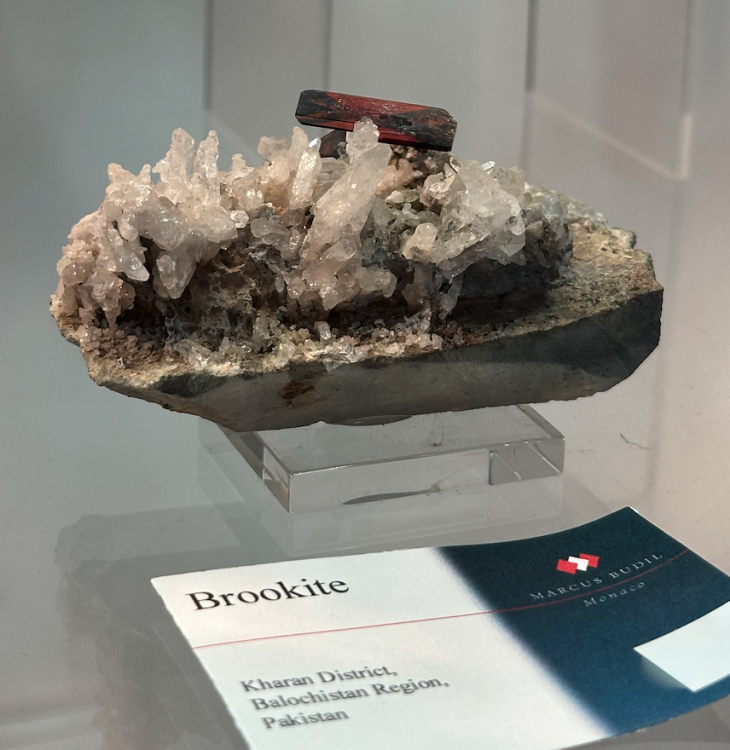 Capture d’écran 2025-01-26 à 05.15.08.png