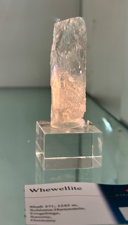 Capture d’écran 2025-01-26 à 05.17.07.png