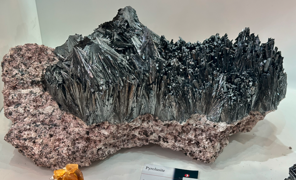 Capture d’écran 2025-01-26 à 05.33.23.png