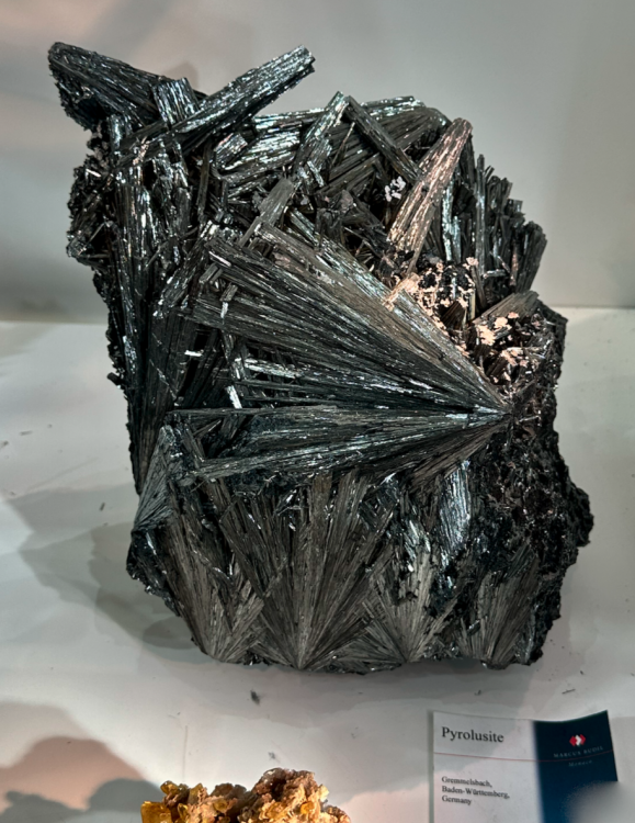 Capture d’écran 2025-01-26 à 05.33.46.png