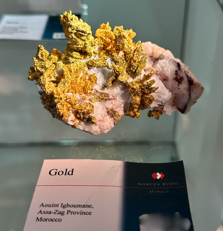 Capture d’écran 2025-01-26 à 05.34.53.png