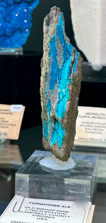 Capture d’écran 2025-01-26 à 05.39.47.png