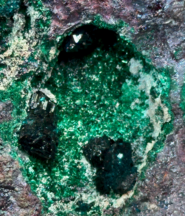 Capture d’écran 2025-01-26 à 05.41.03.png