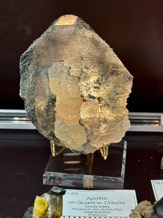 Capture d’écran 2025-01-26 à 05.42.01.png