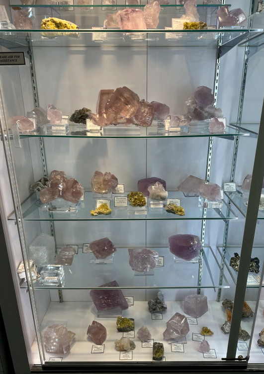 Capture d’écran 2025-01-26 à 06.35.26.png