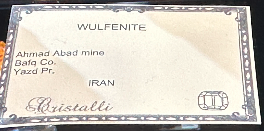 Capture d’écran 2025-01-26 à 06.41.44.png