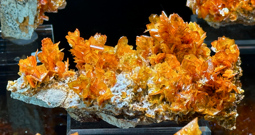 Capture d’écran 2025-01-26 à 06.41.57.png