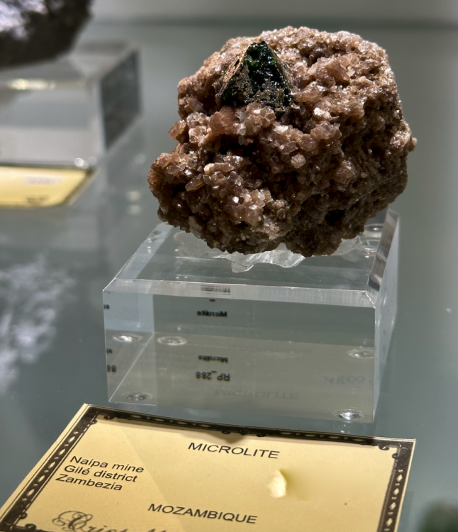 Capture d’écran 2025-01-26 à 06.43.10.png