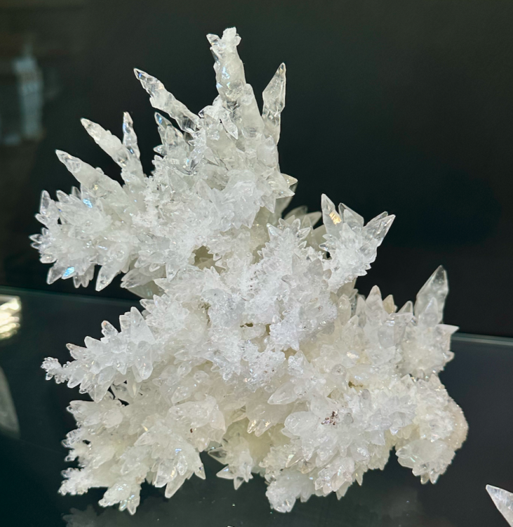 Capture d’écran 2025-01-27 à 05.34.00.png