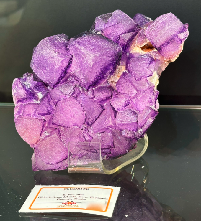 Capture d’écran 2025-01-27 à 05.35.05.png