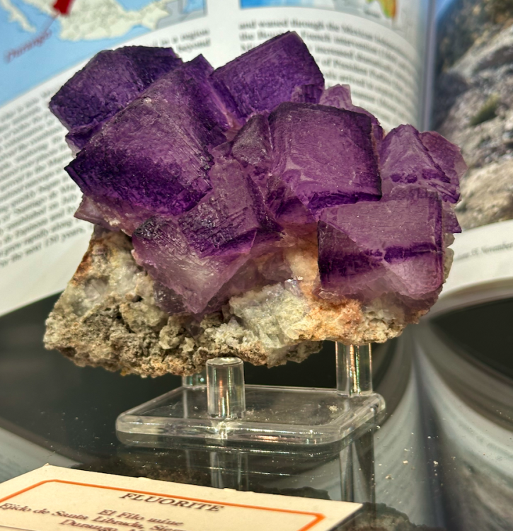 Capture d’écran 2025-01-27 à 05.35.21.png