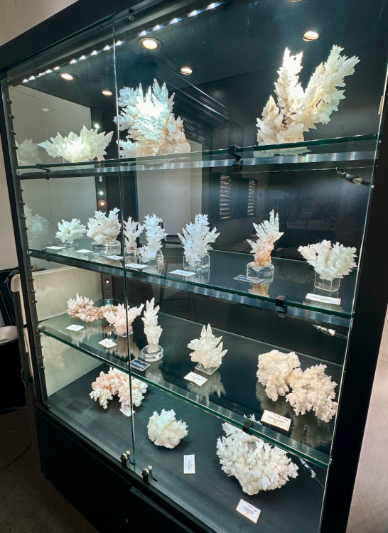 Capture d’écran 2025-01-27 à 05.35.32.png