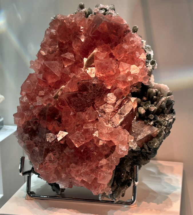 Capture d’écran 2025-01-27 à 05.37.05.png