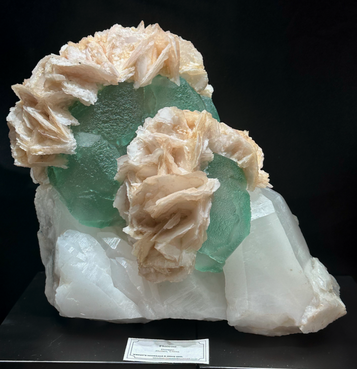 Capture d’écran 2025-01-27 à 05.37.17.png