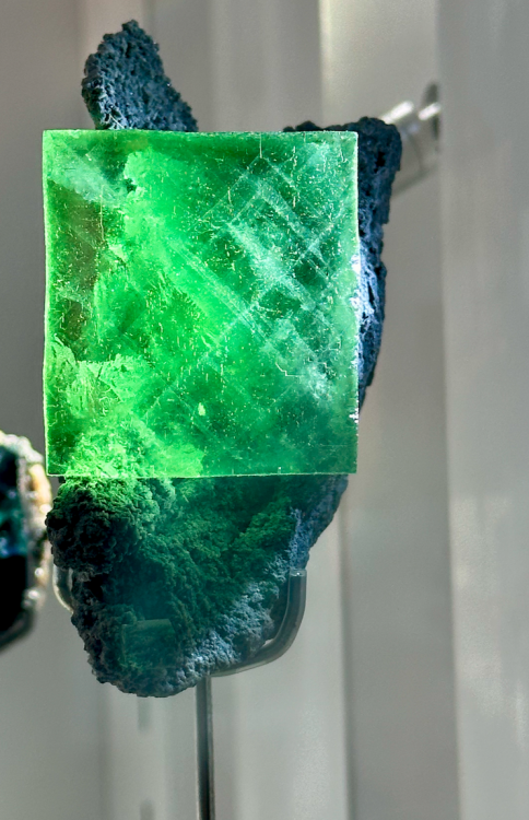 Capture d’écran 2025-01-27 à 05.40.32.png