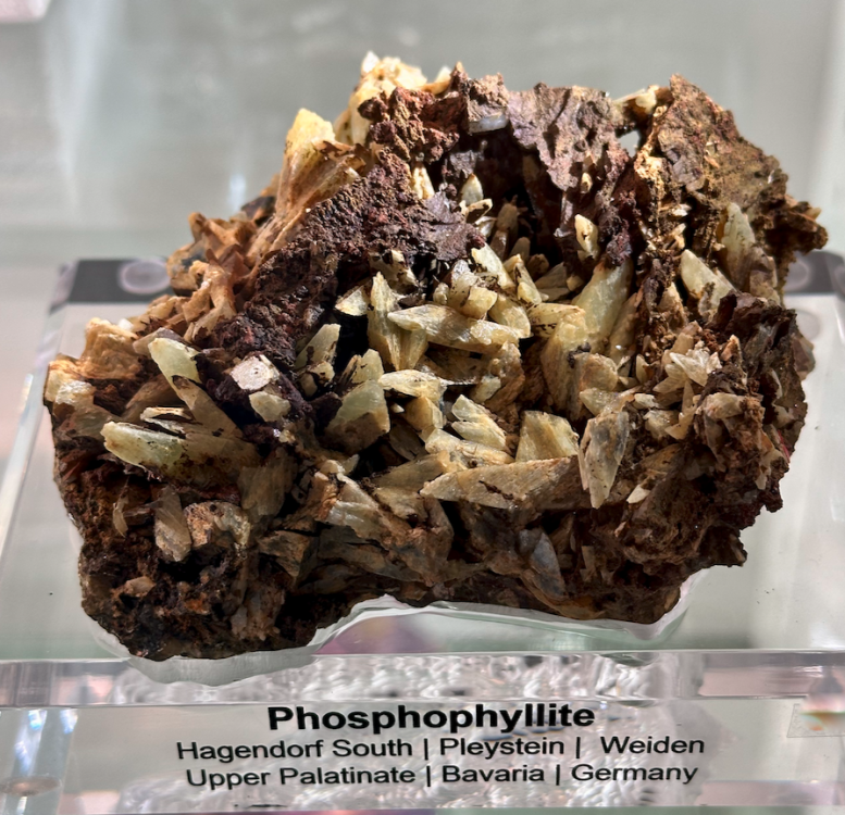 Capture d’écran 2025-01-27 à 20.11.11.png