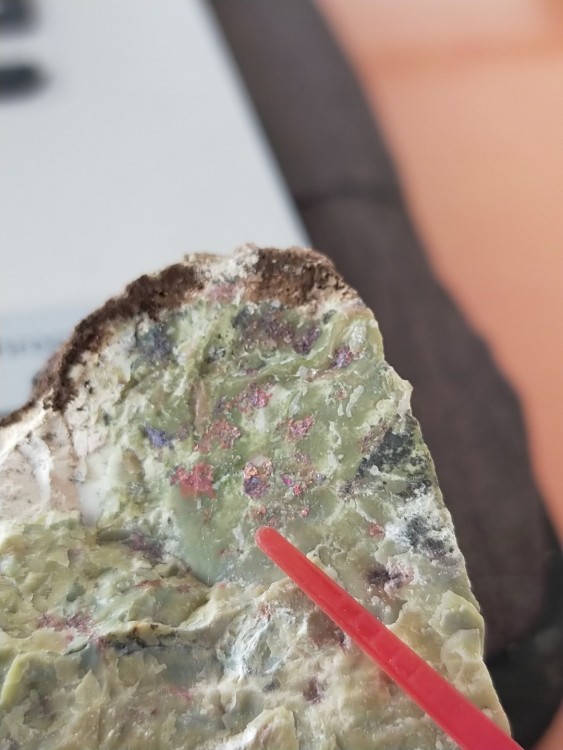 IMG20250103154531 (1).jpg