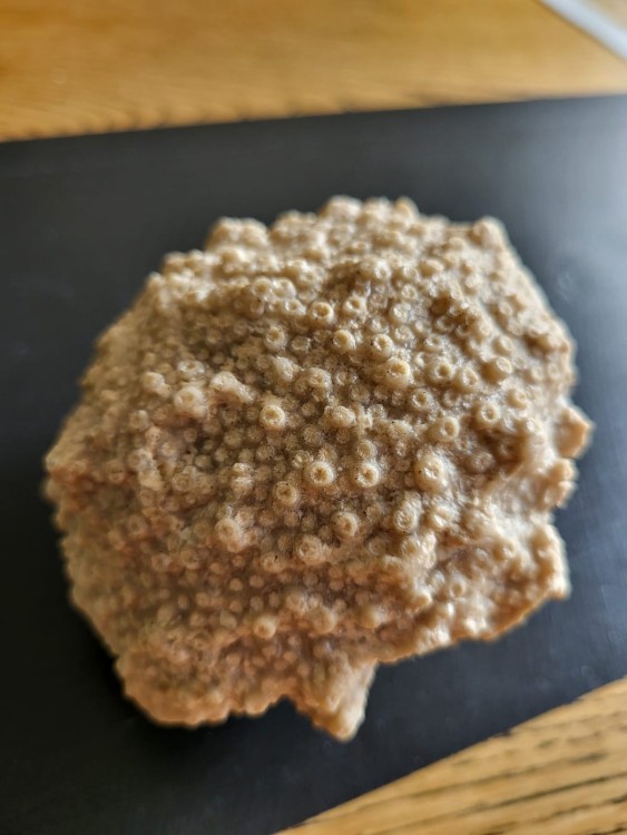 WhatsApp Image 2024-06-17 à 07.07.21_66979f11.jpg