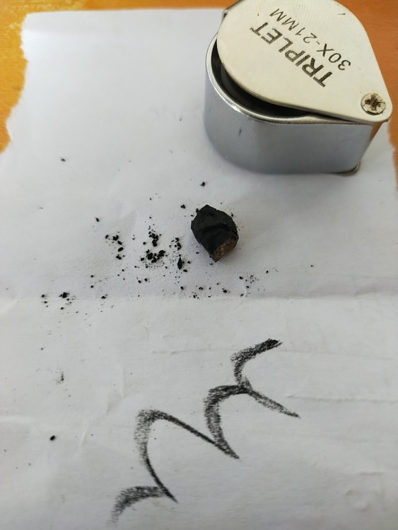 IMG20250204152120 (1).jpg