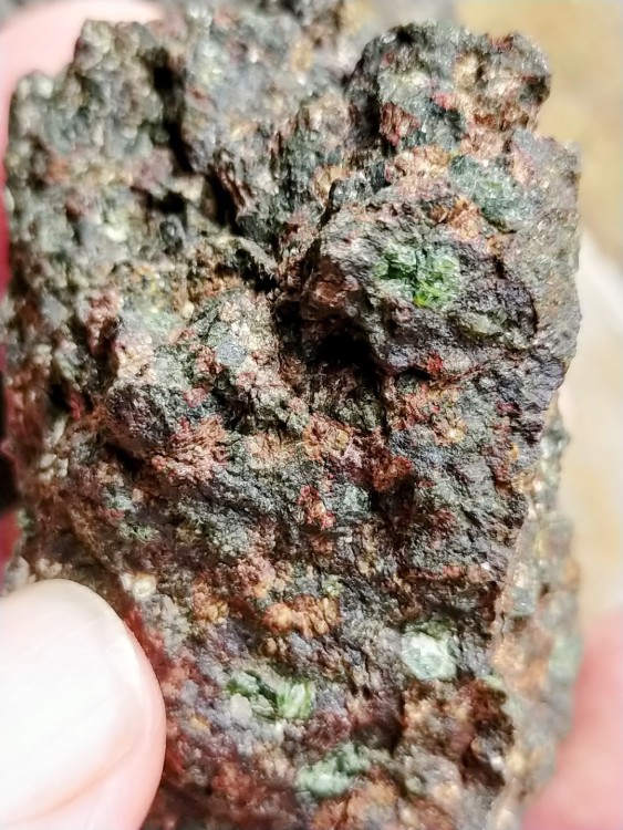 IMG20250228111339-EDIT (1).jpg