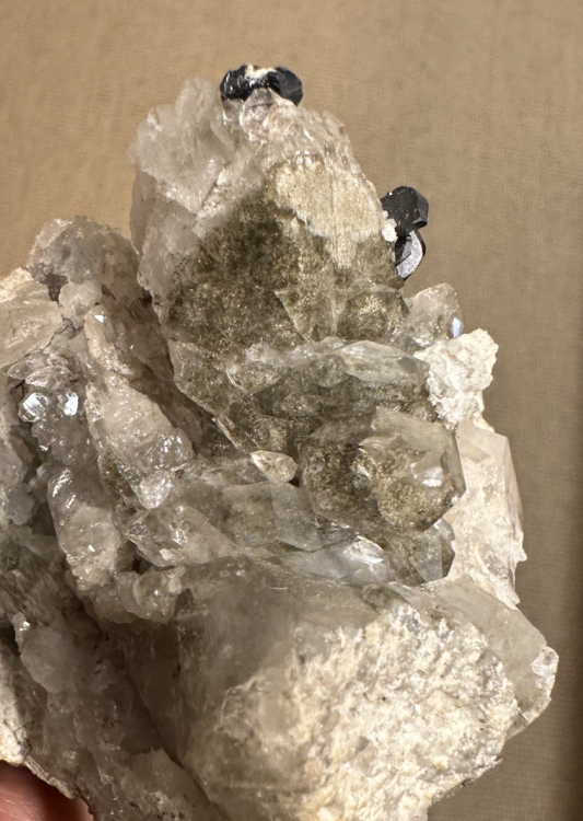 Capture d’écran 2025-03-08 à 13.32.41.png