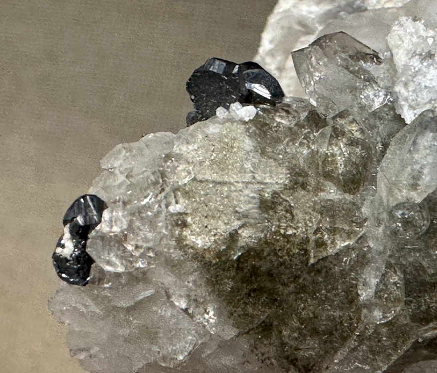 Capture d’écran 2025-03-08 à 13.32.59.png