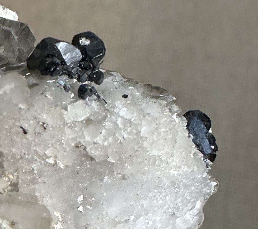 Capture d’écran 2025-03-08 à 13.33.13.png