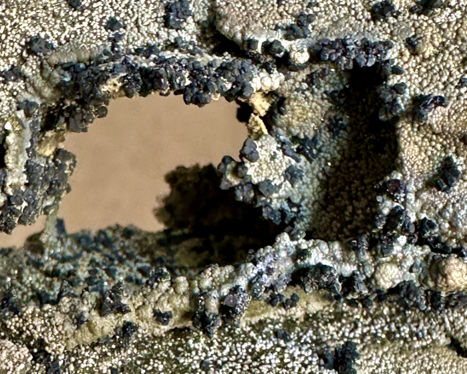 Capture d’écran 2025-03-08 à 22.58.25.png