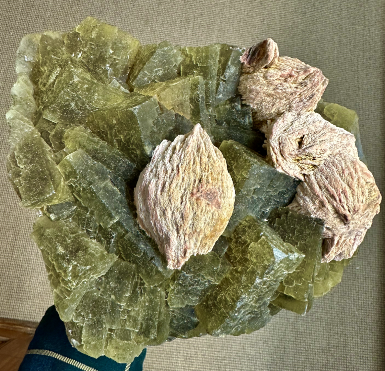 Capture d’écran 2025-03-08 à 23.06.55.png