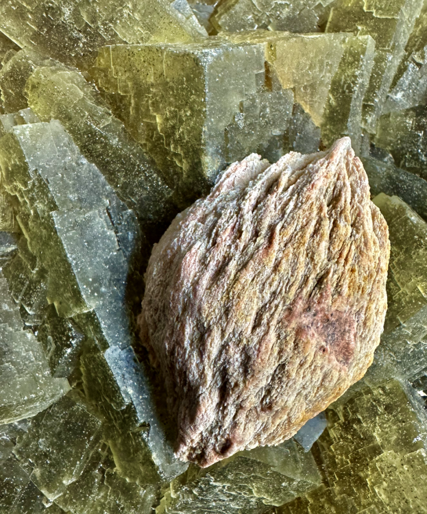 Capture d’écran 2025-03-08 à 23.07.16.png