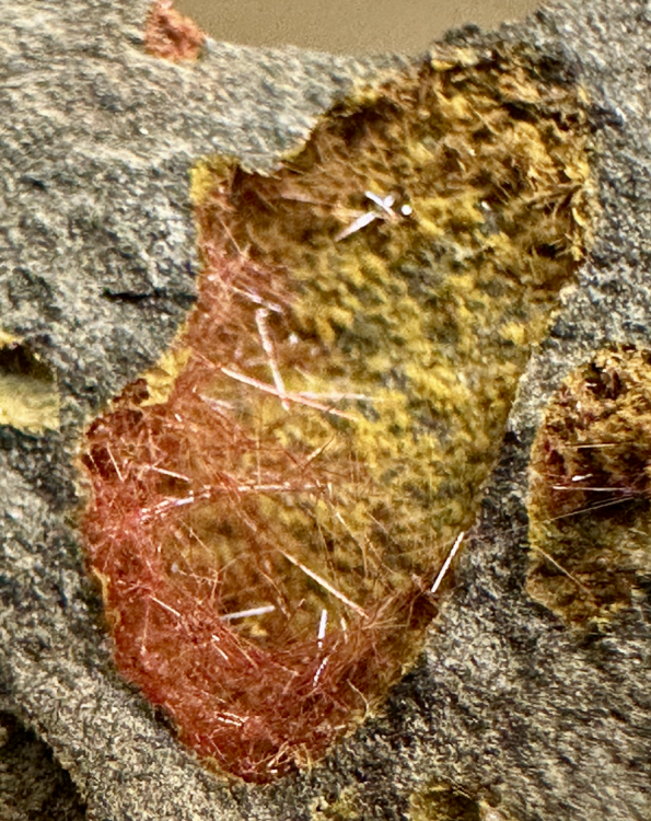 Capture d’écran 2025-03-08 à 23.18.02.png