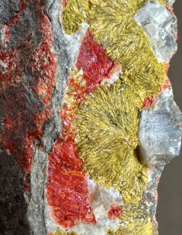 Capture d’écran 2025-03-08 à 23.18.42.png