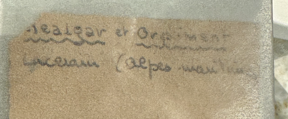 Capture d’écran 2025-03-08 à 23.18.49.png