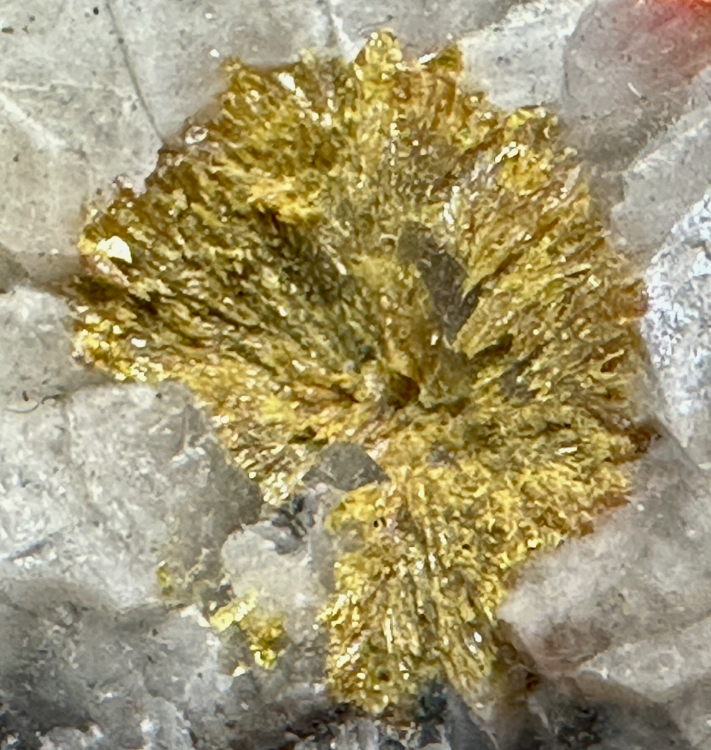 Capture d’écran 2025-03-08 à 23.19.30.png